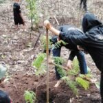 Karang Taruna Kelurahan Noborejo mengadakan Bulan Bakti dan Pengembangan Kapasitas pada 25–26 Oktober 2025 di Noborejo untuk memperingati Hari Sumpah Pemuda. Kegiatan ini bertujuan meningkatkan kepedulian lingkungan dan kebersamaan melalui penyuluhan, pelatihan biopori, serta penanaman 250 bibit pohon di empat lokasi strategis.