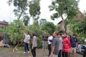 Hujan deras disertai angin kencang melanda Kota Salatiga pada Rabu (22/10/2025), menyebabkan puluhan rumah rusak dan pohon tumbang di beberapa lokasi. BPBD dan Polres Salatiga di bawah AKBP Veronica segera melakukan penanganan cepat, pembersihan puing, serta memastikan kondisi warga aman dan terkendali.