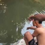 Seorang siswa MTs Negeri Salatiga berinisial AZ (13) ditemukan meninggal dunia usai tenggelam di bendungan Padas Plorot, Desa Klero, Tengaran, Kabupaten Semarang, Jumat (10/10/2025) sore. Korban diduga tak bisa berenang saat bermain air bersama teman-temannya. Warga dan petugas berupaya menolong, namun nyawanya tak tertolong.