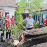 Angin Kencang, Rumah Mantan Sekdes Bener Tertimpa Pohon Durian