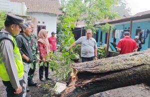 Angin Kencang, Rumah Mantan Sekdes Bener Tertimpa Pohon Durian