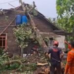 Hujan deras disertai angin kencang melanda Kabupaten Semarang, Selasa (4/11/2025) sore. BPBD yang dipimpin Alexander Gunawan melaporkan kerusakan di Tuntang, Tengaran, dan sebagian Kota Salatiga. Peristiwa terjadi akibat cuaca ekstrem. Penanganan dilakukan bersama TNI, Polri, dan perangkat daerah untuk mengatasi dampak angin puting beliung.