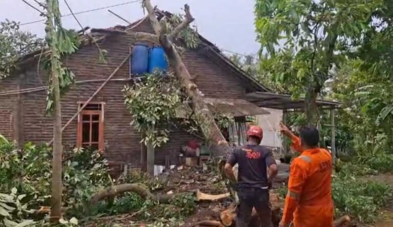 Hujan deras disertai angin kencang melanda Kabupaten Semarang, Selasa (4/11/2025) sore. BPBD yang dipimpin Alexander Gunawan melaporkan kerusakan di Tuntang, Tengaran, dan sebagian Kota Salatiga. Peristiwa terjadi akibat cuaca ekstrem. Penanganan dilakukan bersama TNI, Polri, dan perangkat daerah untuk mengatasi dampak angin puting beliung.