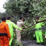 Hujan disertai angin kencang melanda Kota Salatiga pada Selasa (4/11/2025) sekitar pukul 14.30, menyebabkan puluhan pohon tumbang di Kecamatan Argomulyo dan Sidomukti. Kapolres Salatiga AKBP Veronica memimpin langsung evakuasi bersama tim gabungan dari Polres, BPBD, dan relawan hingga situasi kembali aman.