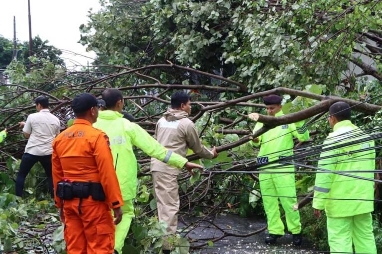 Hujan disertai angin kencang melanda Kota Salatiga pada Selasa (4/11/2025) sekitar pukul 14.30, menyebabkan puluhan pohon tumbang di Kecamatan Argomulyo dan Sidomukti. Kapolres Salatiga AKBP Veronica memimpin langsung evakuasi bersama tim gabungan dari Polres, BPBD, dan relawan hingga situasi kembali aman.