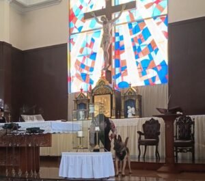 Polres Semarang melakukan sterilisasi gereja menggunakan unit K-9. Kegiatan dipimpin jajaran Polres Semarang di sejumlah gereja besar, termasuk Gereja Kristus Raja Ungaran, Rabu (24/12/2025). Langkah ini dilakukan menjelang Natal 2025 guna menjamin keamanan umat, dengan sterilisasi lokasi dan penempatan ratusan personel pengamanan