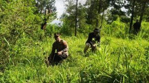 Sebanyak 500 bibit pohon jambu diadopsi masyarakat dan ditanam di Bukit Gedad, lereng Gunung Merbabu. Kegiatan ini digagas komunitas Latar Kalitan di Desa Tajuk, Kabupaten Semarang, pada Minggu, 28 Desember 2025, untuk konservasi lingkungan dan pelestarian sumber air melalui sistem adopsi dan pemantauan berkala.