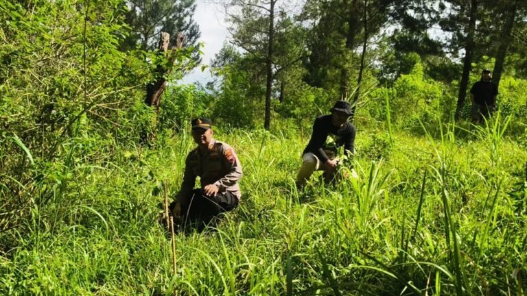 Sebanyak 500 bibit pohon jambu diadopsi masyarakat dan ditanam di Bukit Gedad, lereng Gunung Merbabu. Kegiatan ini digagas komunitas Latar Kalitan di Desa Tajuk, Kabupaten Semarang, pada Minggu, 28 Desember 2025, untuk konservasi lingkungan dan pelestarian sumber air melalui sistem adopsi dan pemantauan berkala.