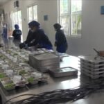 SPPG Ledok Argomulyo Salatiga kembali beroperasi setelah sempat terhenti akibat keterlambatan dana pusat. Dikelola SPPG Ledok, layanan pemenuhan gizi ini berlangsung di Salatiga sejak Senin (15/12/2025) untuk menjaga pemenuhan gizi siswa selama masa libur sekolah melalui distribusi MBG sesuai pedoman.