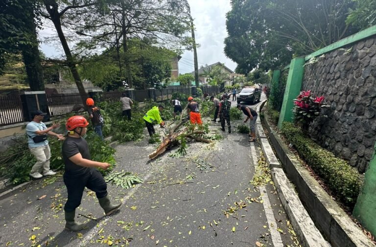 Hujan gerimis disertai angin puting beliung menerjang kawasan Jalan Stadion Kridanggo dan Jalan Tentara Pelajar, Kota Salatiga. Peristiwa yang terjadi Jumat sore (9/1/2026) ini merusak rumah warga, warung semi permanen, dan menumbangkan pohon, namun tidak menimbulkan korban jiwa. Penanganan dilakukan bersama instansi terkait.
