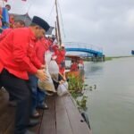 DPC PDI Perjuangan Kabupaten Semarang menggelar peringatan HUT ke-79 Megawati Soekarnoputri di kawasan Danau Rawa Pening, Tuntang, Jumat (23/1/2026). Kegiatan melibatkan kader partai dan masyarakat, digelar untuk pelestarian lingkungan melalui penanaman pohon dan penebaran benih ikan, sebagai upaya menjaga ekosistem dan mendukung ekonomi warga.