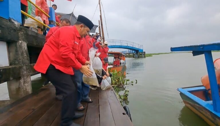 DPC PDI Perjuangan Kabupaten Semarang menggelar peringatan HUT ke-79 Megawati Soekarnoputri di kawasan Danau Rawa Pening, Tuntang, Jumat (23/1/2026). Kegiatan melibatkan kader partai dan masyarakat, digelar untuk pelestarian lingkungan melalui penanaman pohon dan penebaran benih ikan, sebagai upaya menjaga ekosistem dan mendukung ekonomi warga.