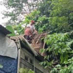 Rumah Rurozi di Dusun Jatikurung, Pringapus, Kabupaten Semarang, rusak tertimpa empat pohon waru akibat angin kencang, Senin (26/1/2026). Peristiwa terjadi pukul 13.15 WIB saat cuaca ekstrem melanda. BPBD, damkar, dan warga melakukan evakuasi pohon serta perbaikan atap. Kerugian diperkirakan Rp5 juta tanpa korban jiwa.