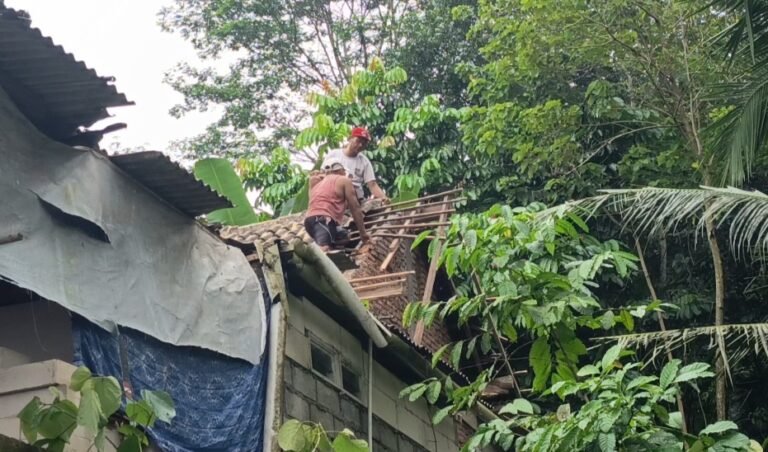 Rumah Rurozi di Dusun Jatikurung, Pringapus, Kabupaten Semarang, rusak tertimpa empat pohon waru akibat angin kencang, Senin (26/1/2026). Peristiwa terjadi pukul 13.15 WIB saat cuaca ekstrem melanda. BPBD, damkar, dan warga melakukan evakuasi pohon serta perbaikan atap. Kerugian diperkirakan Rp5 juta tanpa korban jiwa.