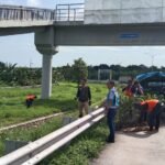 PT Jasamarga Semarang Batang melakukan beautifikasi Ruas Tol Batang–Semarang melalui penanaman pohon. Program disampaikan Dirut JSB Nasrullah di Semarang, Rabu (12/2/2026). Langkah ini bertujuan memperkuat ekosistem hijau dan mendukung prinsip ESG. Penanaman dilakukan bertahap di Rumija, median, dan akses Gerbang Tol Kaliwungu dengan vegetasi adaptif.
