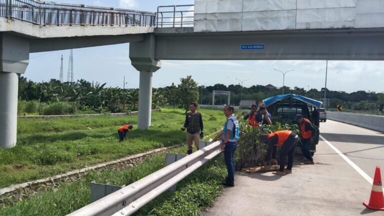 PT Jasamarga Semarang Batang melakukan beautifikasi Ruas Tol Batang–Semarang melalui penanaman pohon. Program disampaikan Dirut JSB Nasrullah di Semarang, Rabu (12/2/2026). Langkah ini bertujuan memperkuat ekosistem hijau dan mendukung prinsip ESG. Penanaman dilakukan bertahap di Rumija, median, dan akses Gerbang Tol Kaliwungu dengan vegetasi adaptif.