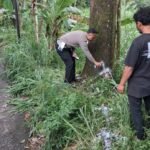 Seorang pelajar SMP berinisial KWE (13) tewas dalam kecelakaan tunggal diduga terkait rencana perang sarung. Peristiwa dijelaskan Kapolres Semarang Ratna Quratul Ainy di Ungaran, Rabu (25/2/2026). Kejadian berlangsung di Dusun Kendal, Desa Jetak, Getasan, Minggu (22/2/2026) dini hari. Korban menabrak pohon saat melarikan diri tanpa lampu motor dan meninggal usai dirawat di rumah sakit.