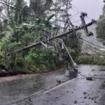 Hujan deras disertai angin kencang menumbangkan pohon di Jalan Ungaran–Mranggen depan Pinusia Park, Kalirejo, Ungaran Timur, Rabu (18/2/2026). BPBD Kabupaten Semarang bersama PLN, kepolisian, dan Perhutani menangani kejadian untuk mengamankan jaringan listrik dan membersihkan jalan demi mencegah risiko lanjutan.