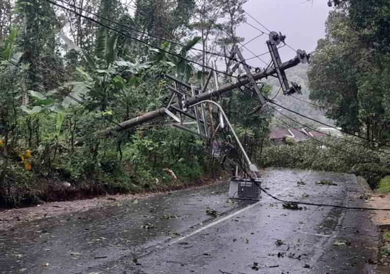 Hujan deras disertai angin kencang menumbangkan pohon di Jalan Ungaran–Mranggen depan Pinusia Park, Kalirejo, Ungaran Timur, Rabu (18/2/2026). BPBD Kabupaten Semarang bersama PLN, kepolisian, dan Perhutani menangani kejadian untuk mengamankan jaringan listrik dan membersihkan jalan demi mencegah risiko lanjutan.