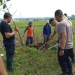 Sekitar 25 hektare lahan padi di Tingkir Tengah, Salatiga, gagal panen akibat serangan hama tikus. Pemerintah kelurahan bersama ratusan petani, TNI-Polri dan relawan menggelar gopyokan di area persawahan, Kamis (12/2/2026). Langkah ini ditempuh setelah kerugian mencapai 80 persen, dengan pembasmian tikus memakai bom asap belerang dan penggalian sarang.