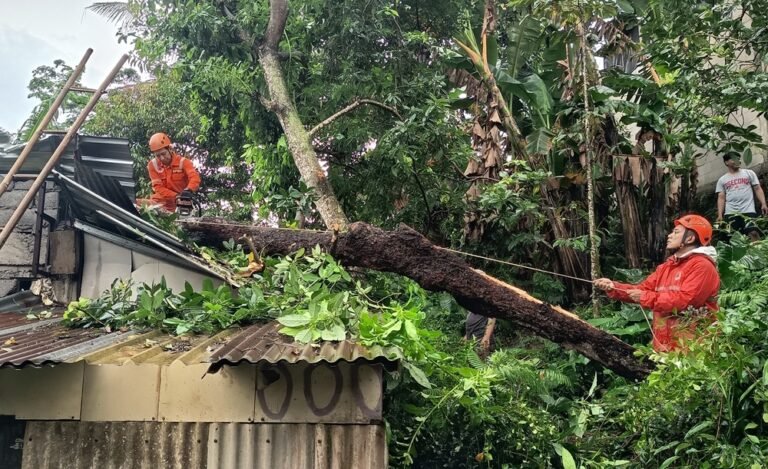 Sebuah pohon petai setinggi 20 meter patah menimpa rumah warga milik Mutiah di Dusun Lerep, Ungaran Barat, Kabupaten Semarang, Selasa (3/2/2026). Kejadian dipicu hujan lebat dan angin kencang, mengakibatkan atap galvalum rusak berat. Penanganan dilakukan BPBD bersama warga.