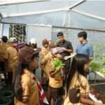 Inovasi smart urban farming dipamerkan mahasiswa Fakultas Pertanian dan Bisnis Universitas Kristen Satya Wacana di Kebun Kartini Salatiga, Jumat (13/03/2026), melalui Urban Farming Expo berbasis kolaborasi lintas fakultas guna menghadirkan solusi pertanian modern di lahan terbatas dengan teknologi hidroponik, aquaponik, hingga IoT.