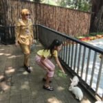 Penambahan wahana wisata dilakukan Pemkab Semarang di Bukit Cinta, Desa Kebondowo, Banyubiru, Senin (16/3/2026), dengan menghadirkan permainan air, aviary, playground, dan gokart guna menarik kunjungan wisatawan serta memberikan destinasi rekreasi ramah keluarga saat libur Idulfitri.