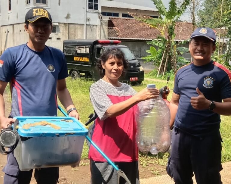 Dua ekor ular jenis sanca dan ular kopi dievakuasi petugas Pemadam Kebakaran Kota Salatiga dari rumah warga di kawasan Kembang Arum, Sidomukti, Senin (16/3/2026) pagi, setelah pemilik rumah melapor melalui WhatsApp Mako Damkar, kemudian ular diamankan dan dilepas kembali ke habitat yang jauh dari permukiman.