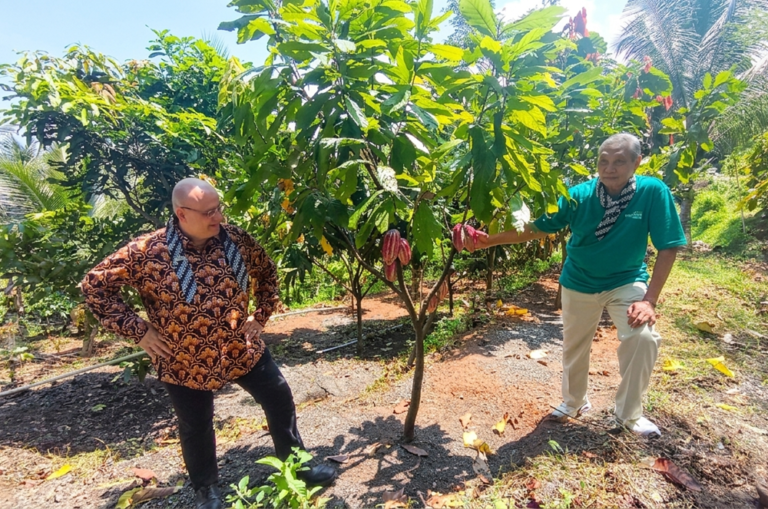 INSTIPER bersama CIRAD menggelar pelatihan smart agroforestry dalam program INDOKAKAO di Ungaran, 14–17 April 2026, untuk meningkatkan kualitas kakao dan menarik minat Gen Z. Pendekatan ini menggabungkan teknologi dan diversifikasi tanaman guna memperkuat ekonomi petani serta menjawab tantangan produktivitas dan mutu kakao nasional.