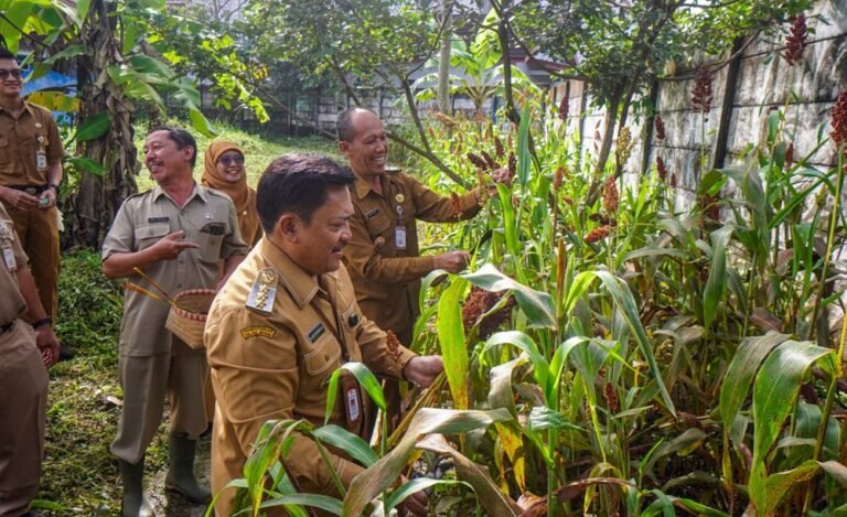 Pemerintah Kota Salatiga menggelar panen perdana sorgum dan padi kering di BBI Pulutan pada Senin (13/4/2026) untuk menguji ketahanan pangan. Wali Kota Robby Hernawan menyebut program ini memanfaatkan lahan hijau belum tergarap, meski hasil padi kering masih dievaluasi akibat kendala hama dan teknis selama masa tanam.