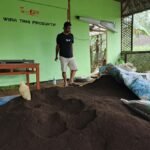 Warga mengolah limbah ternak menjadi kascing. Kelompok Wira Tani Produktif dan Kades Supriyadi memimpin inovasi di Desa Manggihan. Program berjalan sejak 2025, disampaikan Kamis (9/4/2026), guna menekan pencemaran Rawa Pening, melalui pengolahan pupuk organik berbasis cacing hingga produksi 25 ton per bulan.