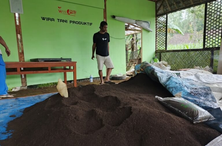 Warga Desa Manggihan melalui Kelompok Wira Tani Produktif mengolah limbah ternak menjadi kascing di lereng Gunung Merbabu, Kamis (9/4/2026). Inisiatif sejak 2025 ini dipimpin Kepala Desa Supriyadi guna mengurangi pencemaran Rawa Pening, dengan produksi mencapai 25 ton per bulan dan pemasaran hingga luar pulau.