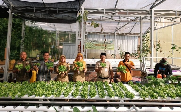 BUMDes Menara Desa Karangduren, Kecamatan Tengaran, Kabupaten Semarang terus mengembangkan usaha ketahanan pangan berbasis hidroponik sejak 2025 dengan membudidayakan selada premium di greenhouse desa. Pengelolaan usaha yang didukung dana desa dan pemasaran hingga luar daerah itu kini mampu menyumbang sekitar 60 persen Pendapatan Asli Desa (PADes).