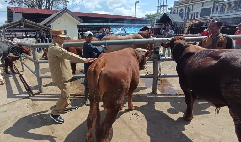 Bupati Semarang Ngesti Nugraha mengimbau masyarakat menggunakan kemasan ramah lingkungan seperti besek, daun jati, dan daun pisang untuk pembagian daging kurban Iduladha 1447 H di Kabupaten Semarang. Imbauan disampaikan saat meninjau Pasar Hewan Ambarawa pada Selasa (26/5/2026) sebagai upaya mengurangi sampah plastik serta mendorong pengelolaan limbah kurban yang lebih baik dan tidak mencemari lingkungan.