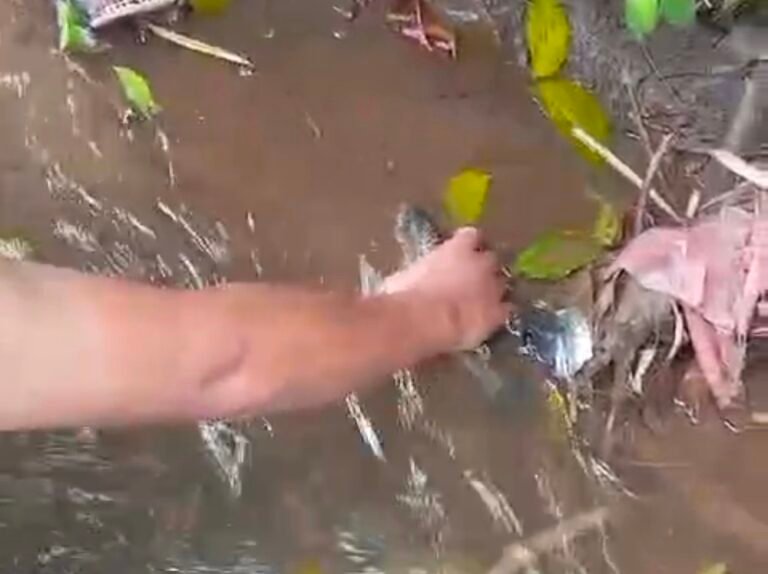 Warga Dusun Gading, Kecamatan Tengaran, Kabupaten Semarang mengeluhkan dugaan pencemaran Kali Serang yang terjadi selama tiga hari terakhir hingga menyebabkan ikan lokal mati, air menimbulkan rasa gatal, dan bau menyengat tercium sampai permukiman warga, Selasa (19/5/2026). Warga bersama karang taruna menyisir aliran sungai sejauh sekitar 10 kilometer untuk menelusuri sumber limbah yang diduga dibuang pada waktu tertentu.