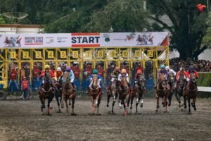Sebanyak 147 kuda dari berbagai daerah akan berlaga dalam Indonesia’s Horse Racing Piala Raja Mangkunegaran & Triple Crown Serie 2 2026 di Gelanggang Pacuan Kuda Tegalwaton, Kabupaten Semarang, Minggu (10/5/2026). Ajang dengan total hadiah Rp600 juta ini menghadirkan 18 kelas lomba dan sistem handicap untuk menciptakan persaingan lebih adil sekaligus mendorong kebangkitan pacuan kuda nasional.