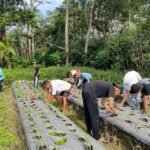 Sebanyak 102 siswa kelas IX SMPIT Nidaul Hikmah Salatiga mengikuti program Live In di Desa Cendana, Purbalingga, pada 27 April–4 Mei 2026 dengan tinggal bersama warga untuk membentuk karakter, mengurangi ketergantungan gawai, serta menumbuhkan empati, kemandirian, dan kemampuan adaptasi melalui pengalaman hidup langsung.