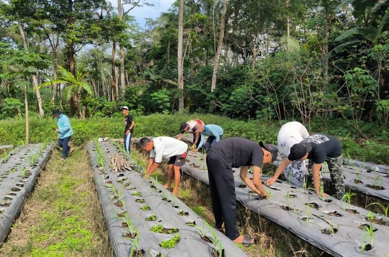 Sebanyak 102 siswa kelas IX SMPIT Nidaul Hikmah Salatiga mengikuti program Live In di Desa Cendana, Purbalingga, pada 27 April–4 Mei 2026 dengan tinggal bersama warga untuk membentuk karakter, mengurangi ketergantungan gawai, serta menumbuhkan empati, kemandirian, dan kemampuan adaptasi melalui pengalaman hidup langsung.