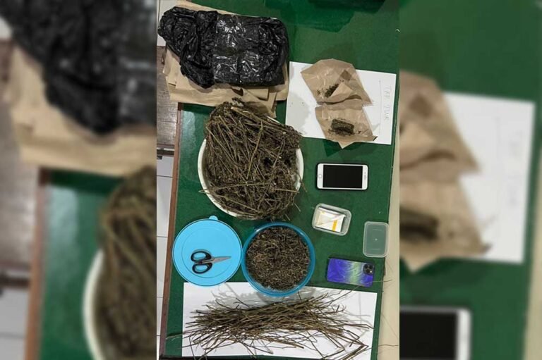 Polres Salatiga membongkar peredaran narkoba di Salatiga dan Kabupaten Semarang setelah menangkap dua tersangka pada Jumat (8/5/2026). Pengungkapan bermula dari penangkapan kurir ganja di Jalan Pattimura Salatiga yang kemudian mengarah pada pemasok utama dengan barang bukti sekitar 501 gram ganja kering.