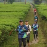 Dieng Caldera Race 2026 menghasilkan perputaran ekonomi lebih dari Rp20 miliar dan mendorong sektor wisata, kuliner, penginapan, serta UMKM Wonosobo.
