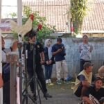 Sedikitnya 150 ayam ketawa dari berbagai daerah di Indonesia mengikuti Ayam Ketawa Contest Pusaka Cup 1 di Kompleks GOR KONI Salatiga, Minggu (7/6/2026). Kontes tingkat nasional ini digelar untuk melestarikan ayam ketawa asal Sidrap, Sulawesi Selatan, sekaligus memperkuat komunitas pecinta ayam ketawa yang terus berkembang di berbagai daerah.