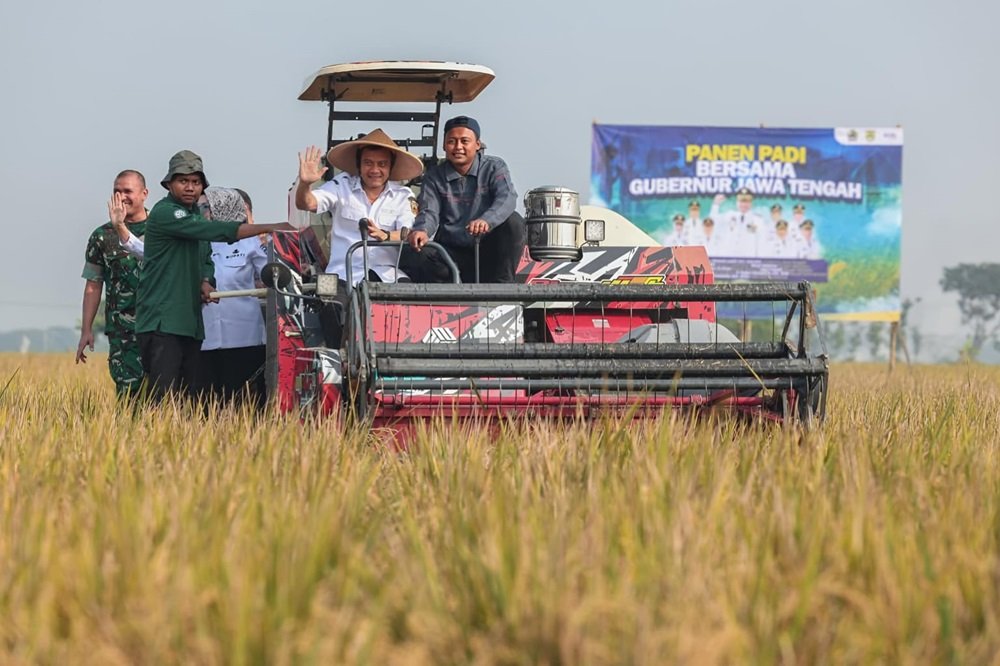 Produksi padi Jawa Tengah hingga Juli 2026 diproyeksikan mencapai 6,69 juta ton gabah kering giling (GKG) atau 63,43 persen dari target 10,5 juta ton. Gubernur Ahmad Luthfi menyampaikan capaian tersebut saat panen raya di Sukoharjo, Rabu (24/6/2026), sekaligus meminta seluruh daerah mengantisipasi potensi kemarau panjang melalui pipanisasi, pembangunan sumur, distribusi pompa air, dan penguatan sarana pertanian guna menjaga produktivitas serta ketahanan pangan.