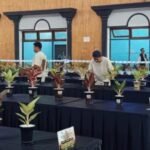 Sebanyak 215 peserta dari berbagai daerah di Indonesia mengikuti kontes Aglaonema yang digelar Asosiasi Aglaonema Nusantara (ASA) di Gedung Pertemuan Daerah Kota Salatiga, Minggu (28/6). Ajang ini menjadi wadah kompetisi, memperkuat jejaring antarkolektor, sekaligus menunjukkan prospek ekonomi tanaman hias yang masih menjanjikan dengan dukungan Pemerintah Provinsi Jawa Tengah.