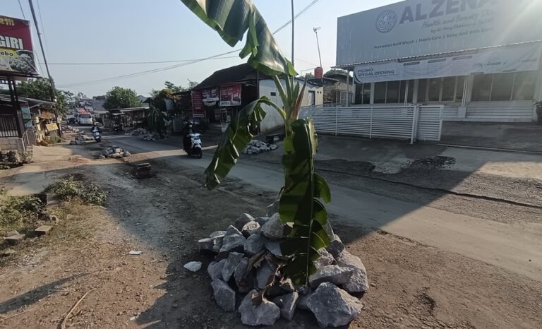 Warga Desa Wringinputih, Kecamatan Bergas, Kabupaten Semarang melakukan aksi penutupan sebagian ruas jalan rusak menggunakan batu belah dan pohon pisang sebagai bentuk protes terhadap kerusakan jalan yang diduga akibat lalu lalang truk tambang bermuatan berlebih. Warga meminta perbaikan jalan segera direalisasikan karena kondisi jalan dinilai membahayakan pengguna.