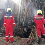 Rumpun bambu di belakang rumah warga di RT 03 RW 06, Kelurahan Tegalrejo, Kecamatan Argomulyo, Kota Salatiga, terbakar pada Rabu (8/7/2026) sekitar pukul 09.00 WIB. Api diduga berasal dari pembakaran ban sepeda motor bekas di dekat lokasi, lalu berhasil dipadamkan oleh Damkar Kota Salatiga bersama aparat dan warga tanpa menimbulkan korban jiwa.