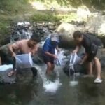 Puluhan remaja Pecinta dan Pelestari Alam Tengaran menebar 1.900 bibit ikan di aliran Sungai Serang, Kecamatan Tengaran, Kabupaten Semarang, Minggu (5/7/2026). Aksi yang digagas Ketua RW 02 Dukuh Krajan, Sowam Ahmadi, menggunakan donasi warga untuk memulihkan ekosistem pascapencemaran limbah sekaligus mengedukasi generasi muda agar menjaga kelestarian sungai.