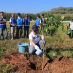 PT Jasamarga Semarang Batang melaksanakan program penghijauan dengan menanam pohon Trembesi dan Tabebuya di Simpang Susun Weleri serta sejumlah titik di sepanjang Tol Batang-Semarang. Program ini dilakukan untuk mendukung infrastruktur berkelanjutan melalui penyerapan emisi karbon, peningkatan kualitas udara, pengendalian erosi, peredaman kebisingan, dan penciptaan lingkungan jalan tol yang lebih asri bagi pengguna jalan.