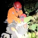 Seorang pecinta reptil, Galih Rizky F (20), terjatuh ke jurang sedalam sekitar 40 meter saat melakukan herping di kawasan Curug Lawe Benowo Kalisidi (CLBK), Ungaran Barat, Kabupaten Semarang, Jumat (28/8/2026) malam. Tim SAR gabungan mengevakuasi korban sekitar 2,5 jam kemudian dengan teknik HART. Korban mengalami cedera kepala, lengan, dan tungkai.