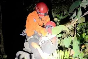 Seorang pecinta reptil, Galih Rizky F (20), terjatuh ke jurang sedalam sekitar 40 meter saat melakukan herping di kawasan Curug Lawe Benowo Kalisidi (CLBK), Ungaran Barat, Kabupaten Semarang, Jumat (28/8/2026) malam. Tim SAR gabungan mengevakuasi korban sekitar 2,5 jam kemudian dengan teknik HART. Korban mengalami cedera kepala, lengan, dan tungkai.