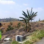 Polres Semarang memastikan laporan titik panas di kawasan hutan Watu Gajah, Desa Candirejo, Kecamatan Pringapus, Kabupaten Semarang, bukan merupakan kebakaran hutan maupun lahan. Kasat Reskrim Polres Semarang Bodia Teja Lelana menjelaskan hasil verifikasi lapangan pada Jumat (1/8/2026) menunjukkan hotspot berasal dari bekas pembakaran rumput di lahan warga yang telah padam, sehingga kondisi dinyatakan aman dan terkendali.